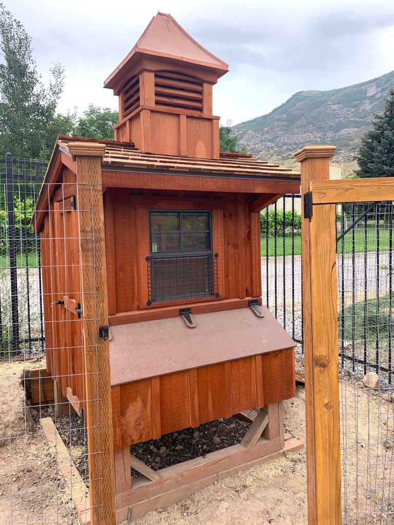 Matt's Chicken Coop in Utah | The Hen House Collection