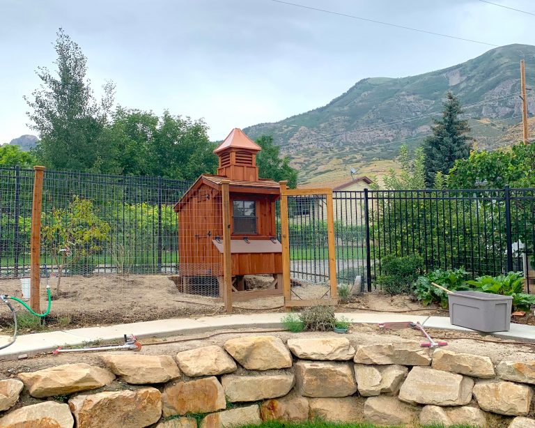 chicken coop story