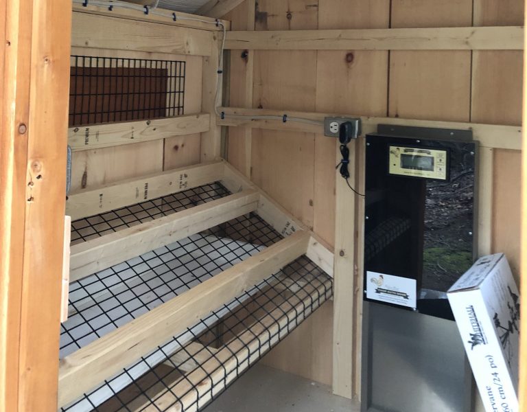 chicken coop in ct