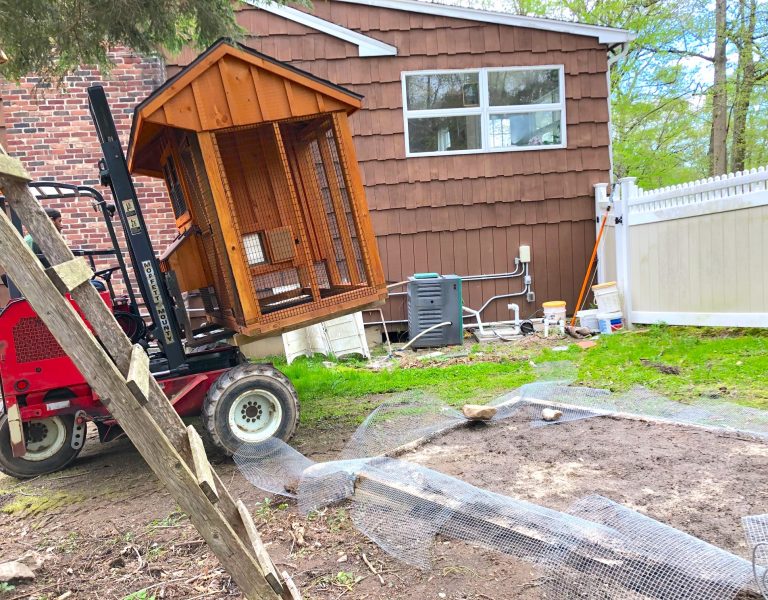delivery of chicken coop in connecticut