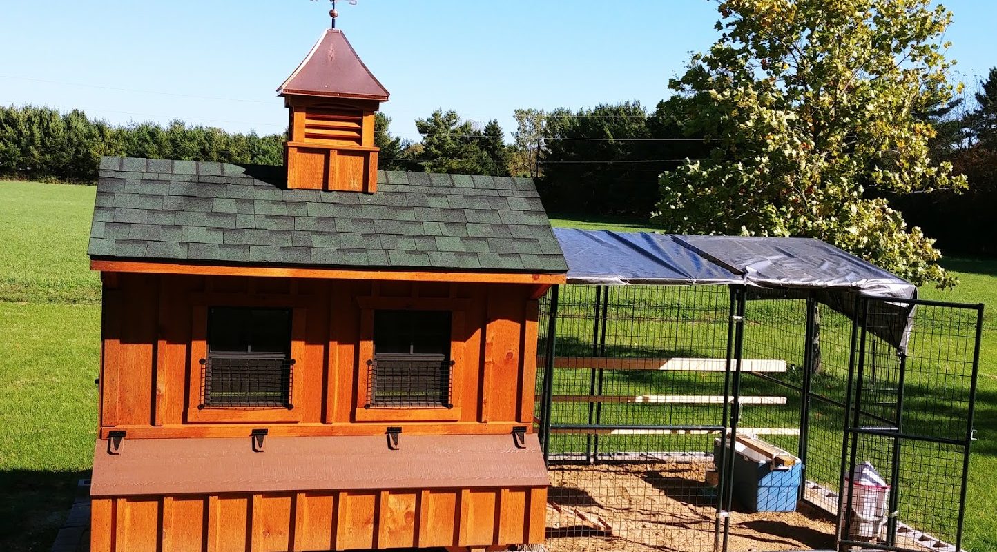 buy a chicken coop in michigan