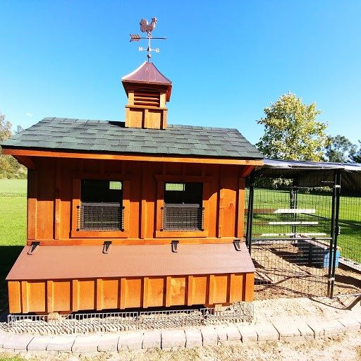 chicken coop in michigan