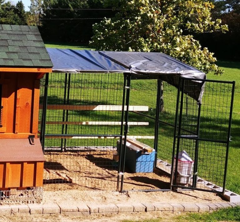 chicken coop and run in Michigan