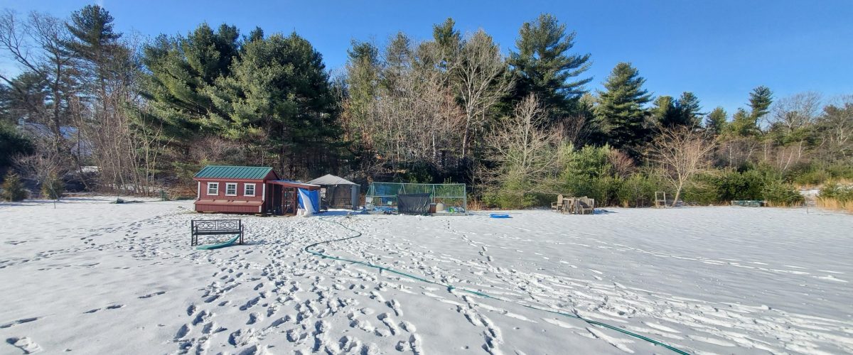 large chicken coop in winter