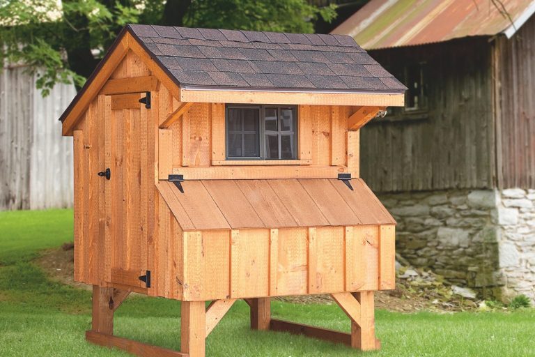 4x4 chicken coop how many chickens 