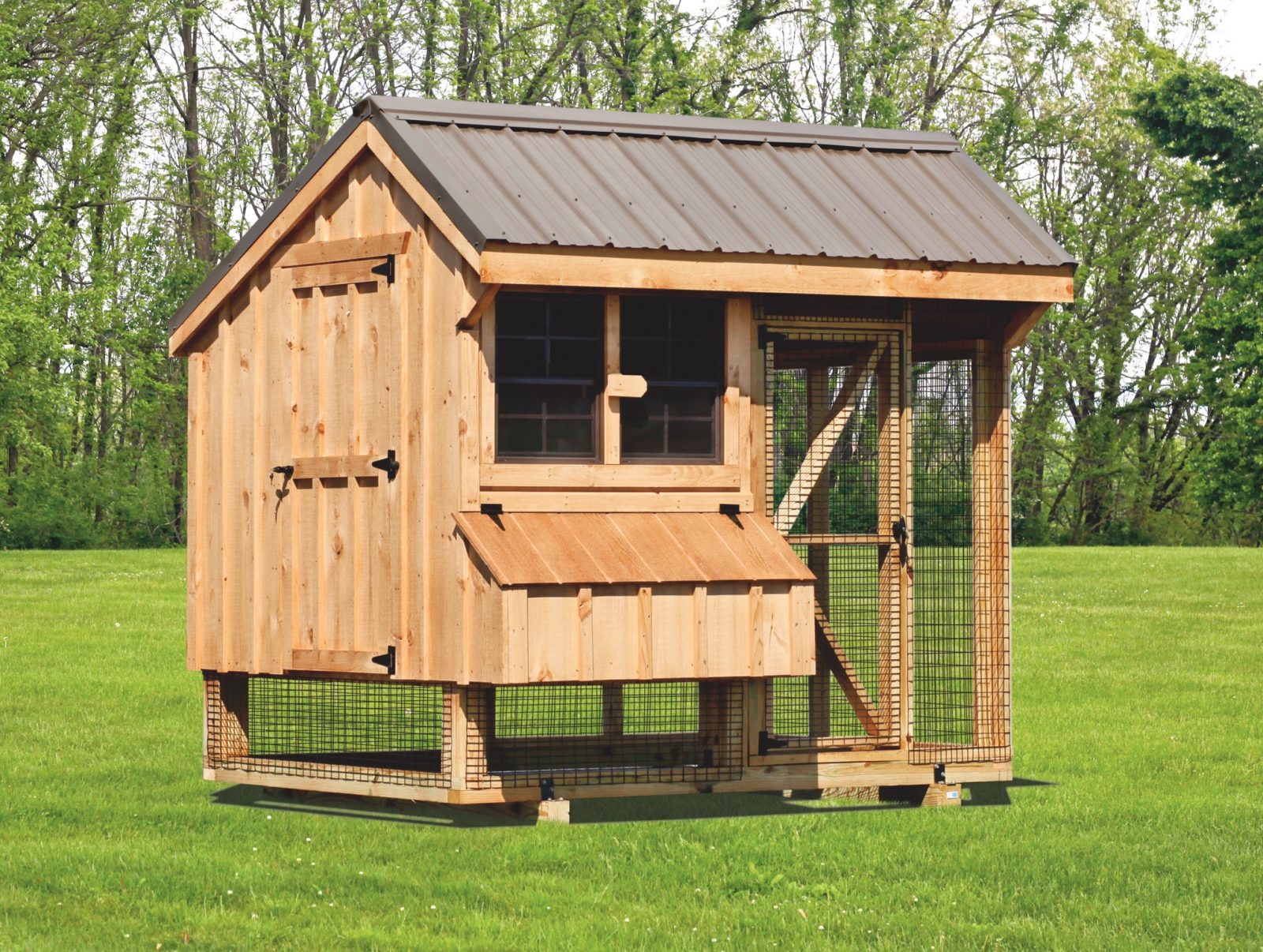 Chicken Coop And Run Get A Secure Pen For Your Chickens