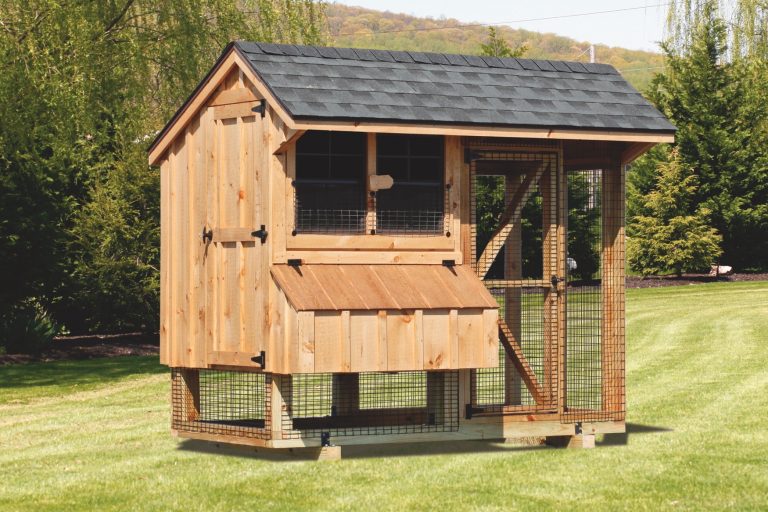 Chicken Coop and Run Get a Secure Pen for Your Chickens
