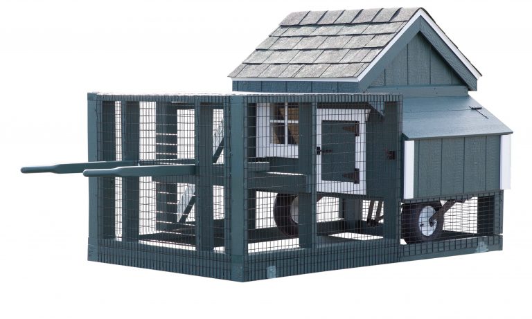 chicken coop tractor back 5