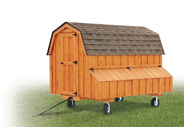 barn style chicken coops 4x8 Dutch