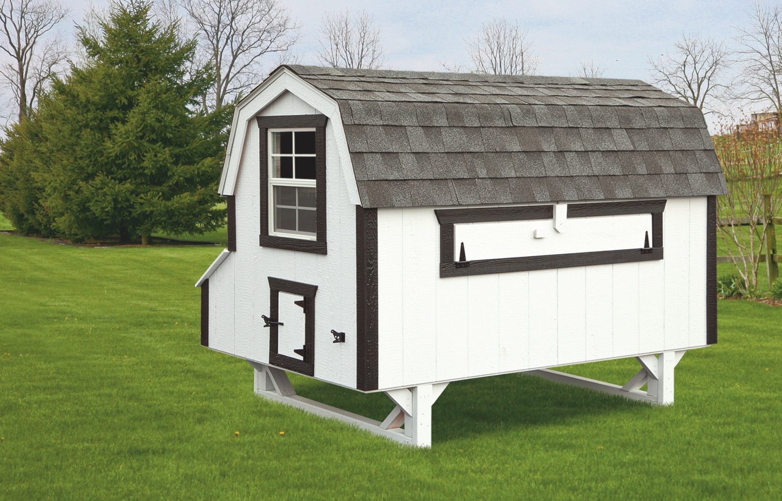 Barn Style Chicken Coops Buy a Cute Coop for Your Chickens