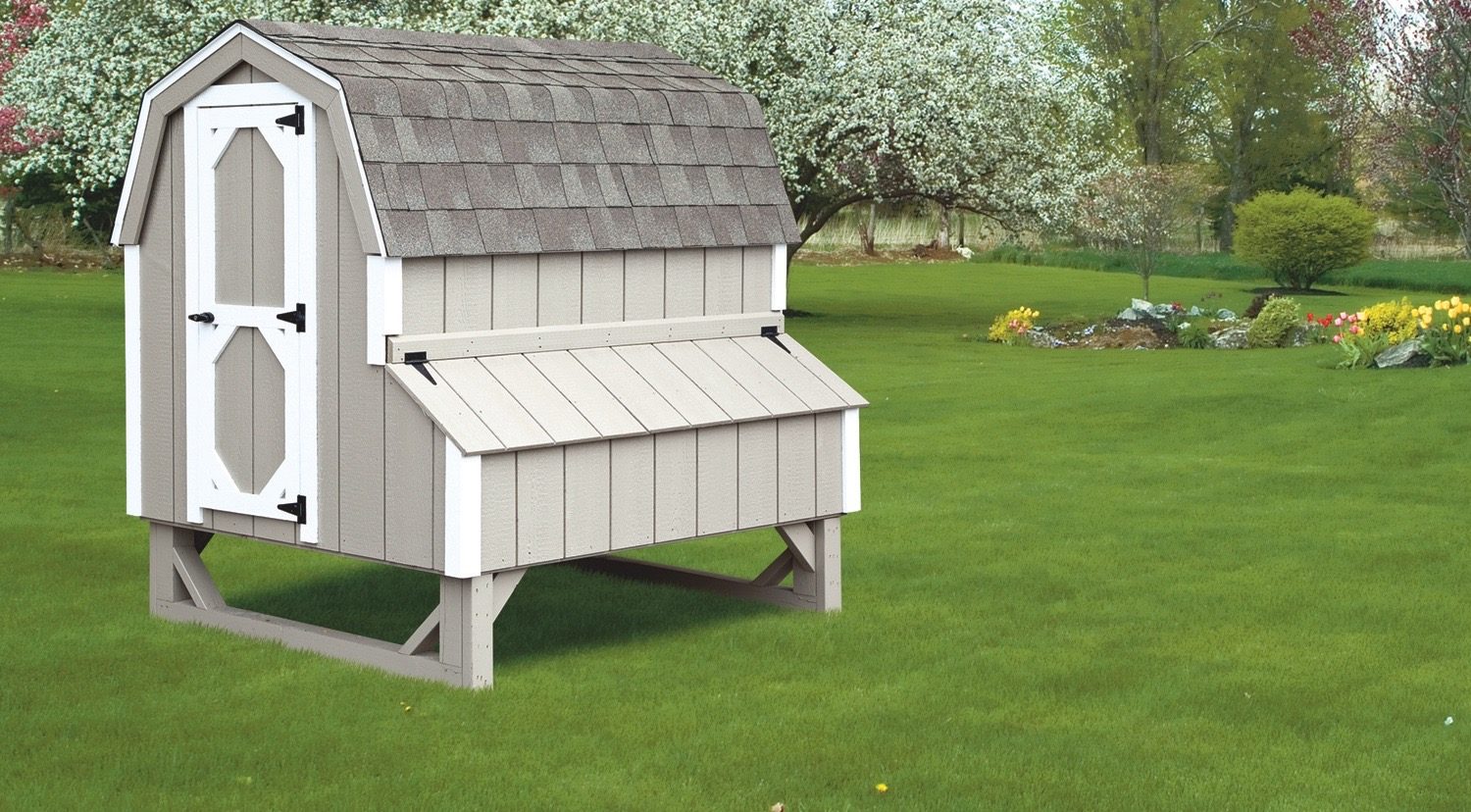 Barn Style Chicken Coops Buy a Cute Coop for Your Chickens