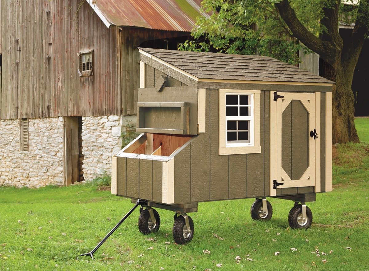 small-chicken-coops-get-a-hen-coop-for-your-small-flock