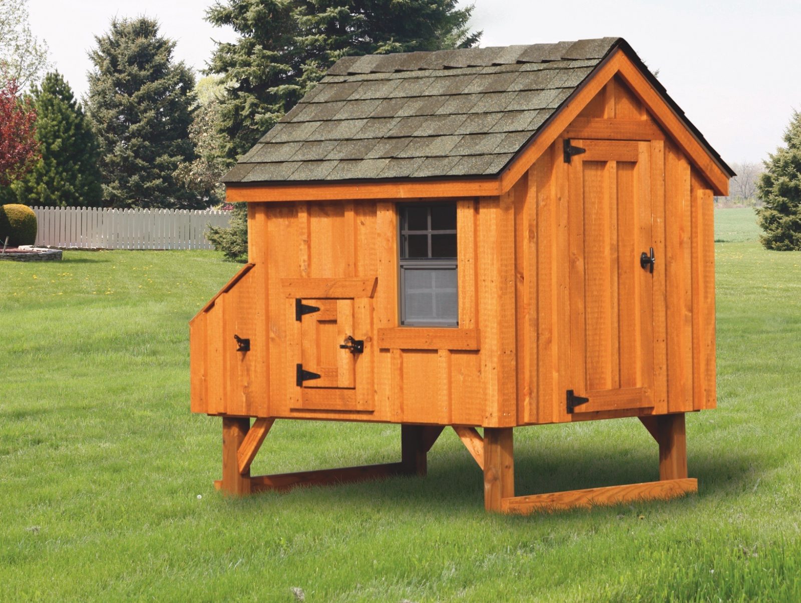 Backyard Chicken Coops Chicken Coops for Sale Online [2019 Models]