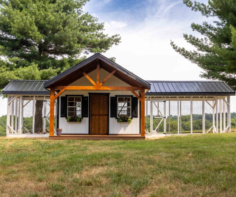 front view of white chicken coop with black metal roof front porch and two outdoor runs on either side