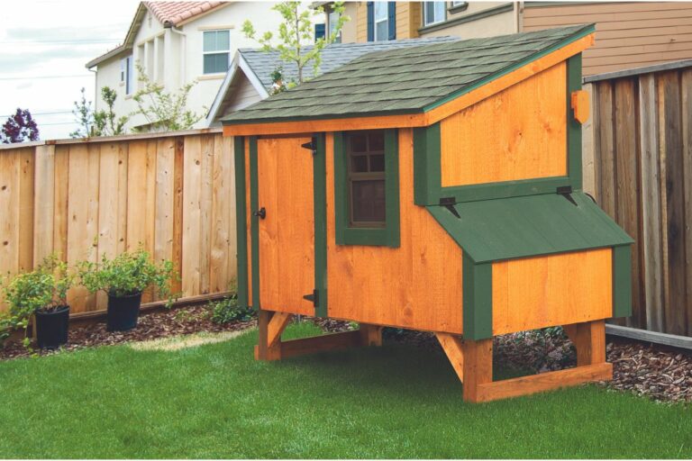 L35 TG- chicken coop for 4 chickens