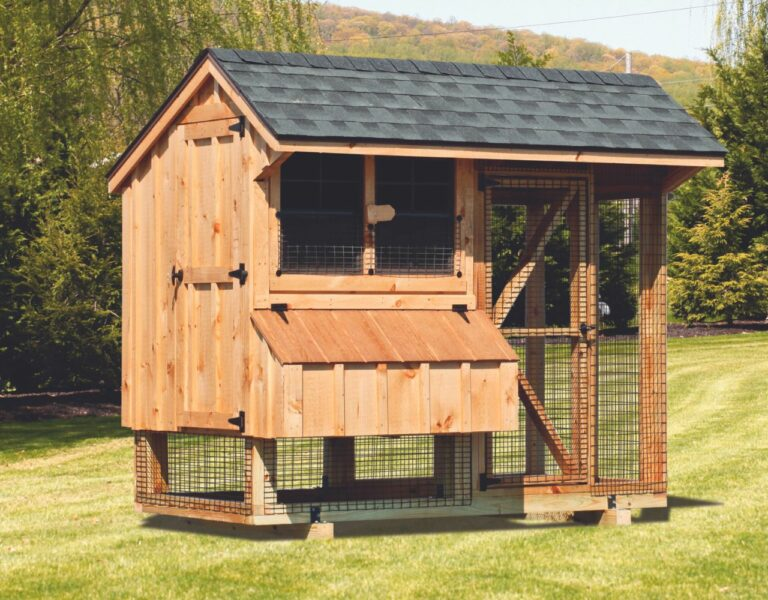 chicken coop size small