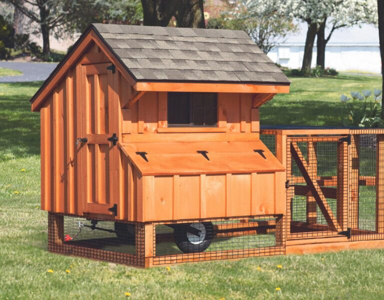 small chicken coop size with run