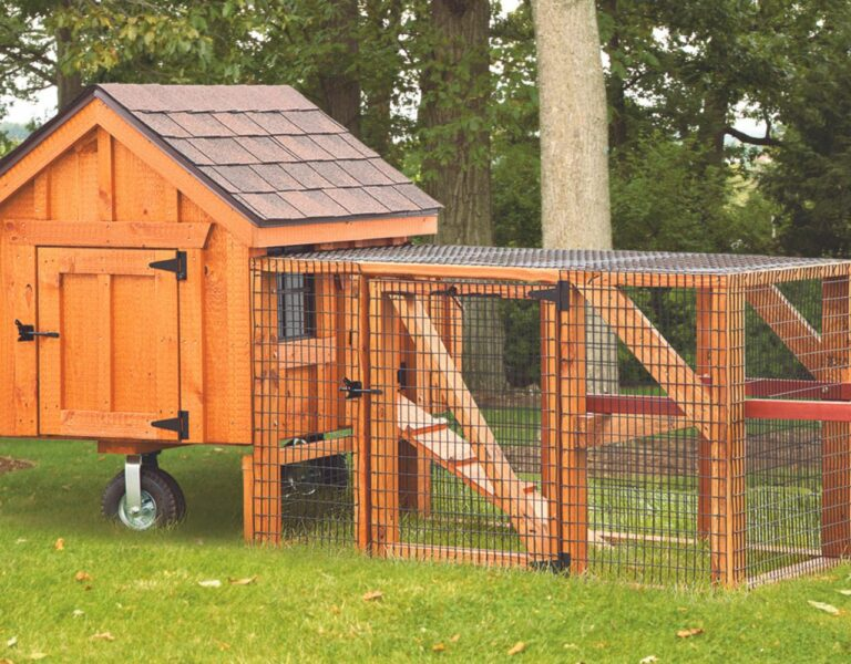 chicken coop size small