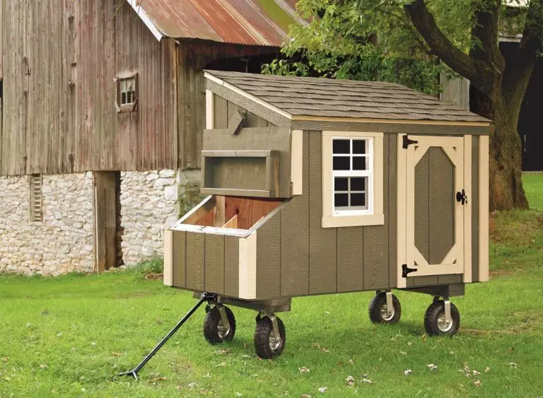Small portable chicken coop on wheels