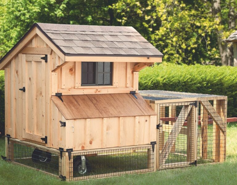 chicken coop size small with run