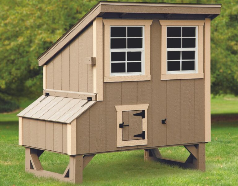 chicken coop size medium
