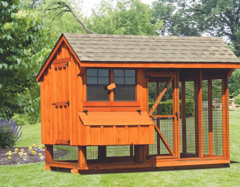 large chicken coop size with run