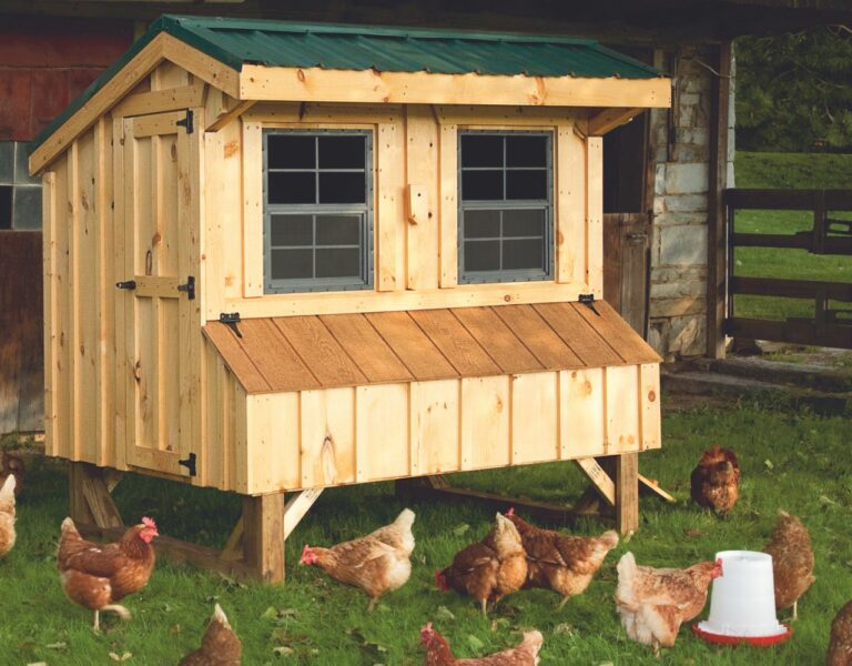 chicken coop size large