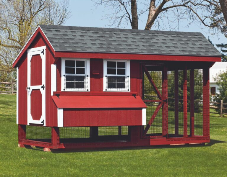 chicken coop size large with run