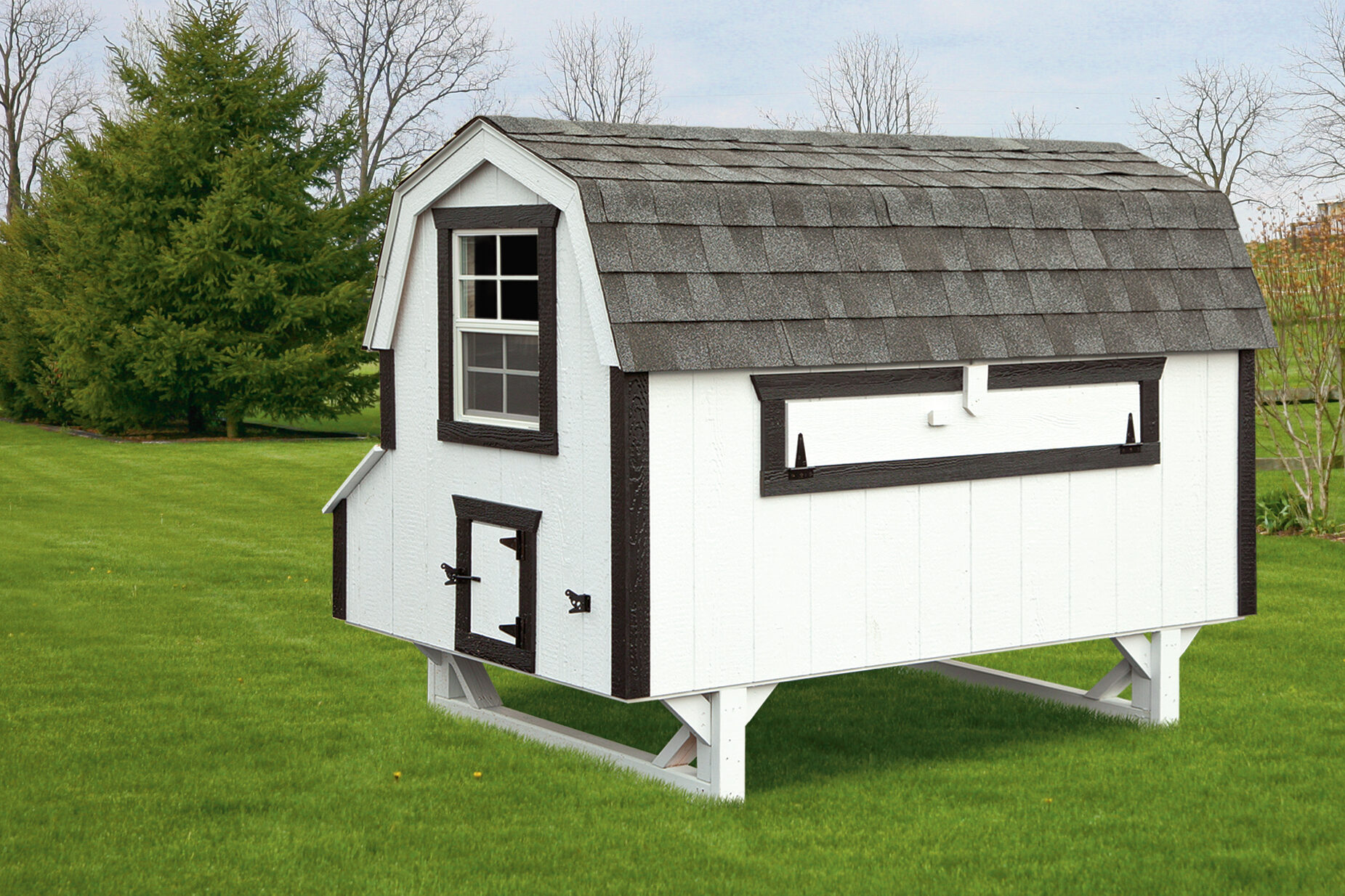 white and black trimmed dutch chicken coops in West Virginia with sloped shingle roof