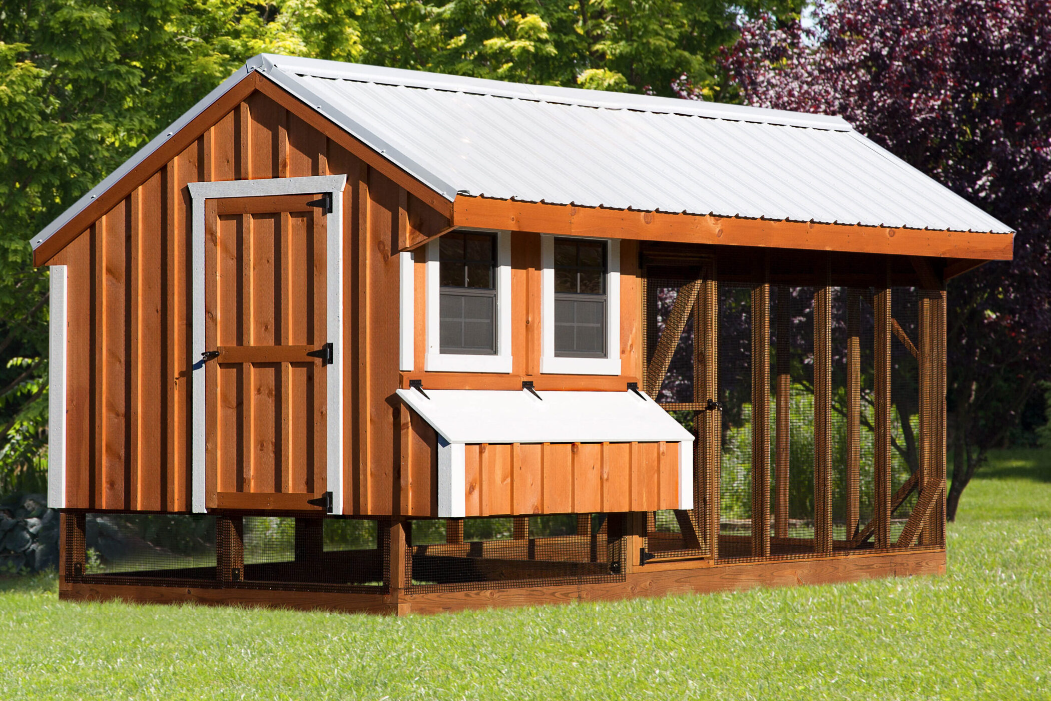 wooden combination coop with white trim lid to egg collection boxes and white metal roof with outdoor run